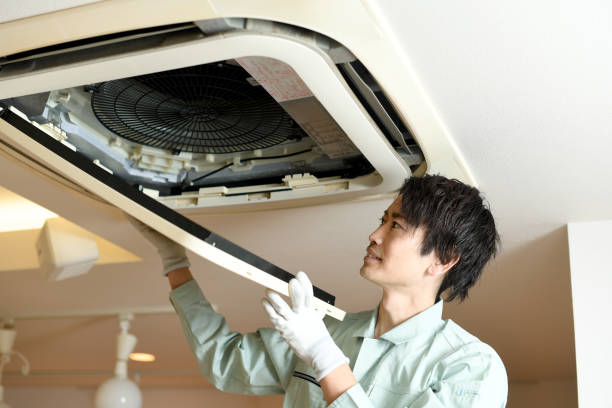 Best Affordable HVAC Duct Cleaning  in , MS